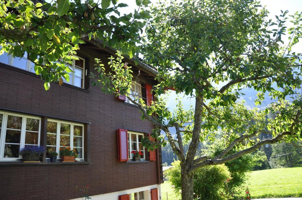 Chalet Allmegrat อาเดลโบเดิน ภายนอก รูปภาพ